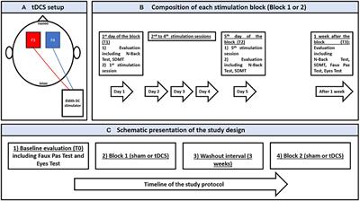 Effects of Transcranial Direct Current Stimulation on Information Processing Speed, Working Memory, Attention, and Social Cognition in Multiple Sclerosis